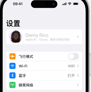 镇赉appleID维修服务iPhone设置中Apple ID显示为灰色无法使用 