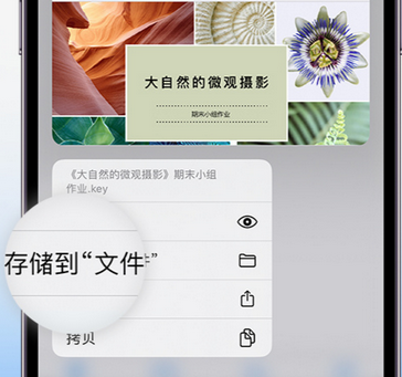 镇赉apple维修中心分享iPhone文件应用中存储和找到下载文件