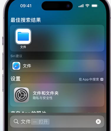 镇赉apple维修中心分享iPhone文件应用中存储和找到下载文件 