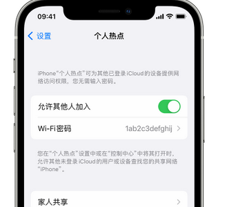 镇赉apple服务站点分享iPhone上个人热点丢失了怎么办 