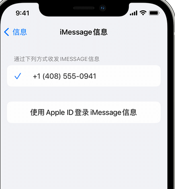 镇赉apple维修iPhone上无法正常发送iMessage信息 