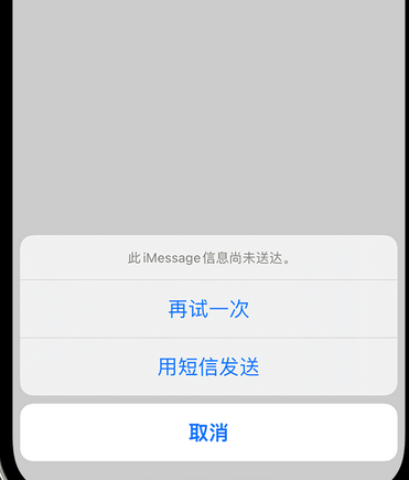 镇赉apple维修iPhone上无法正常发送iMessage信息