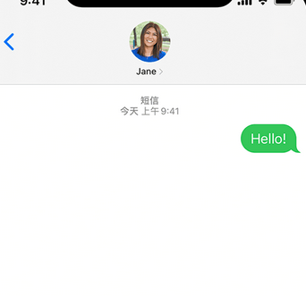 镇赉apple维修iPhone上无法正常发送iMessage信息