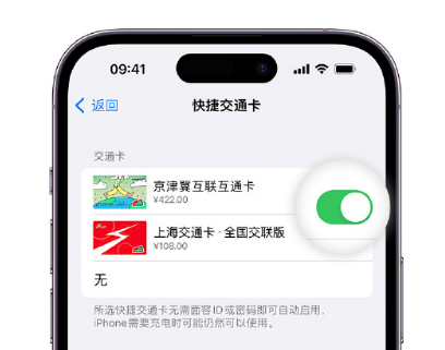 镇赉apple维修点分享iPhone上更换Apple Pay快捷交通卡手绘卡面 