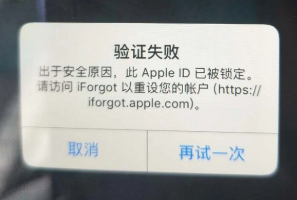 镇赉iPhone维修分享iPhone上正常登录或使用AppleID怎么办 