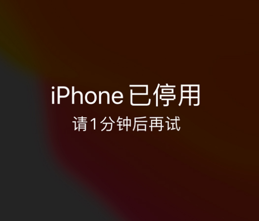 镇赉苹果手机维修分享:iPhone 显示“不可用”或“已停用”怎么办？还能保留数据吗？ 