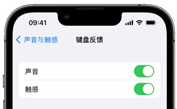 镇赉苹果手机维修分享iPhone 14触感键盘使用方法 