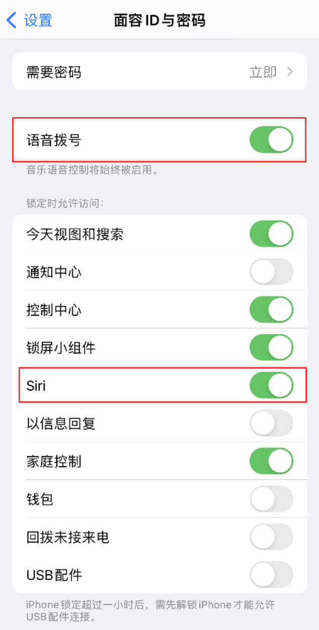 镇赉苹果维修网点分享不解锁 iPhone 的情况下通过 Siri 拨打电话的方法 