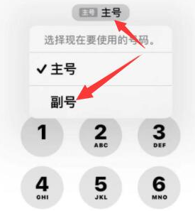 镇赉苹果14维修店分享iPhone 14 Pro Max使用副卡打电话的方法 