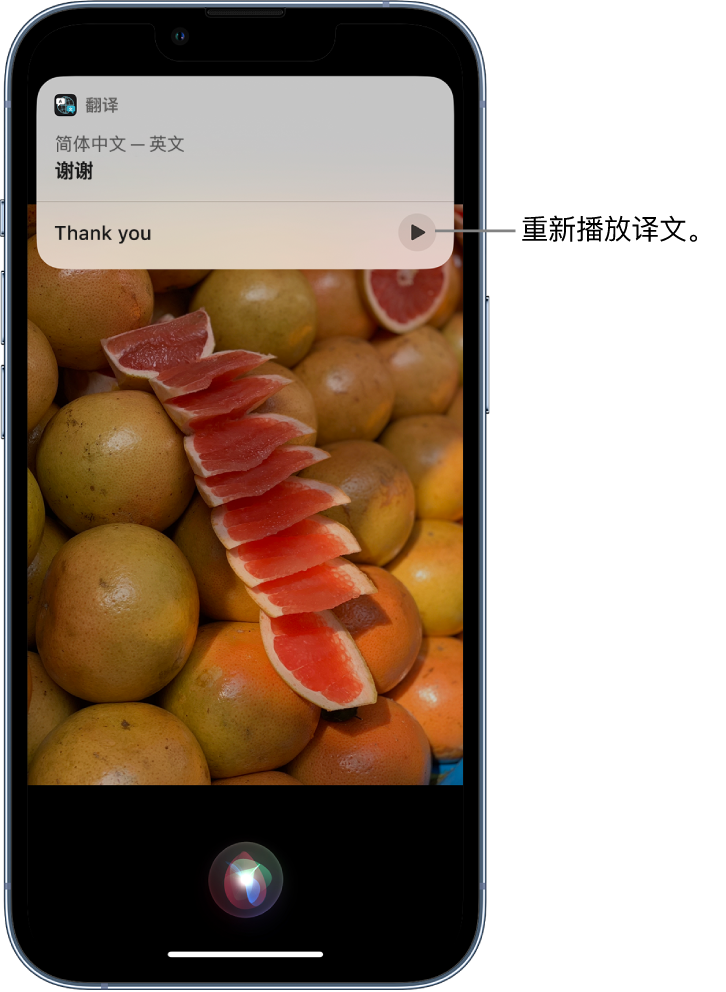 镇赉苹果14维修分享 iPhone 14 机型中使用 Siri：了解 Siri 能帮你做什么 