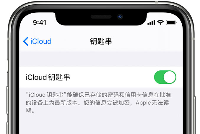 镇赉苹果手机维修分享在 iPhone 上开启 iCloud 钥匙串之后会储存哪些信息 