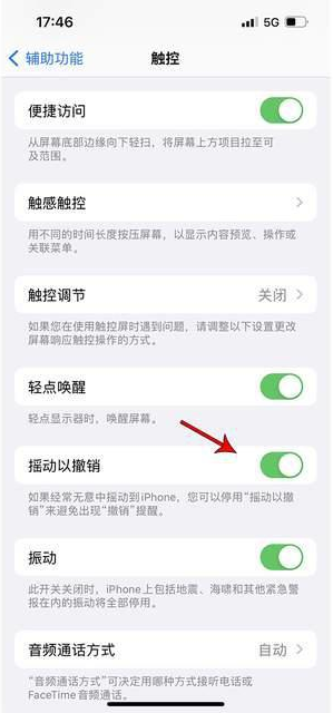 镇赉苹果手机维修分享iPhone手机如何设置摇一摇删除文字 