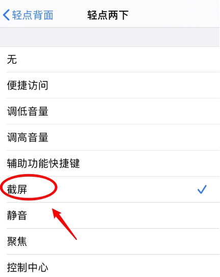 镇赉苹果手机维修分享iPhone12如何启用双击截屏 
